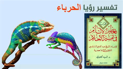 تفسير رؤية المبيعات في المنام - الموضوع تفسير رؤية المبيعات في المنام - الموضوع