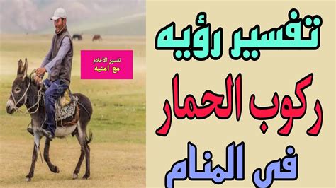 تفسير رؤية ركوب حافلة صغيرة لامرأة عزباء وامرأة متزوجة ورجل في المنام