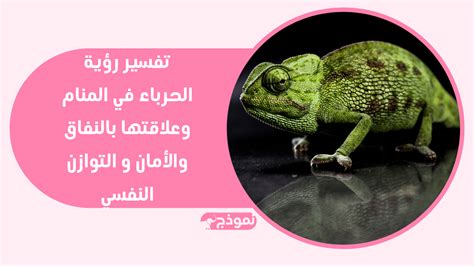 تفسير رؤيه الحرباء فى المنام بالتفصيل - موقع محتوى تفسير رؤيه الحرباء فى المنام بالتفصيل - موقع محتوى