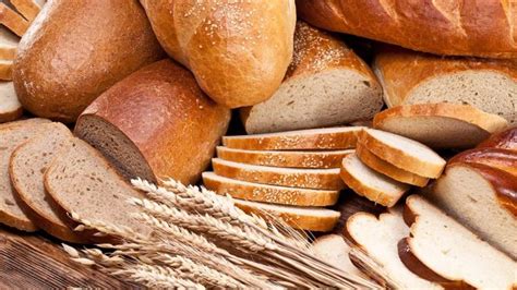 تفسير شراء الخبز في المنام - موسوعة - الموسوعة العربية الشاملة تفسير شراء الخبز في المنام - موسوعة - الموسوعة العربية الشاملة