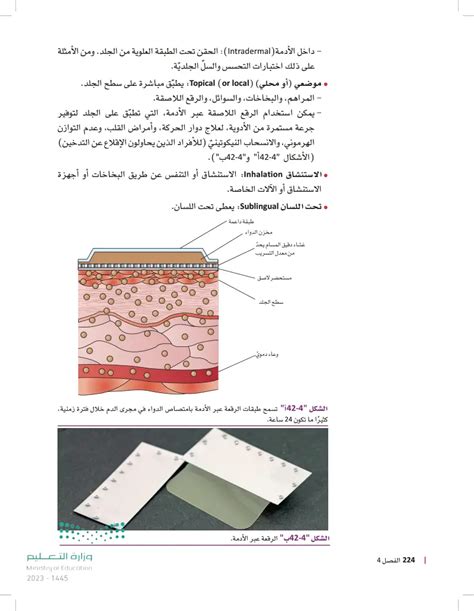 تمثل الطبقة العلوية من الجلد الدرع الواقي للجسم - اتجاهات 2024