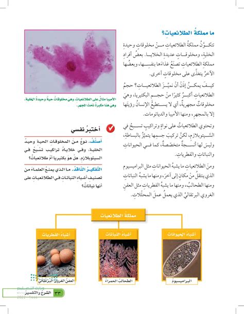 تنتمي الأميبا إلى مجموعة الطلائعيات المشابهة لـ B- Encyclopedia- الموسوعة العربية الشاملة