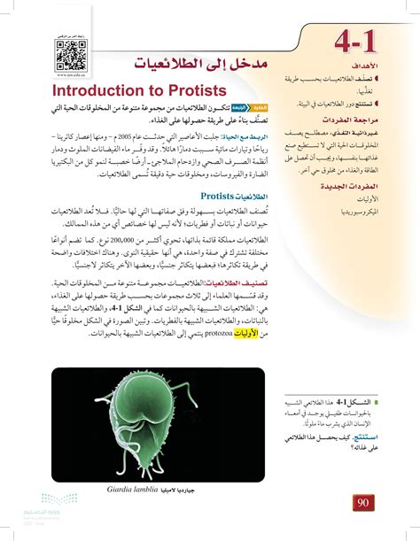 تنتمي الأميبا إلى مجموعة الطلائعيات من النوع B.