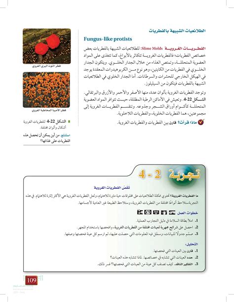 تنتمي الفطريات الغروية إلى مجموعة الطلائعيات من النوع ب