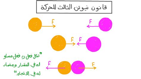 تنص إجابة نيوتن على القانون الثالث على أن كل قوة لها تأثير