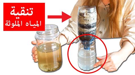 تنقية المياه الملوثة - شبكة العلكة