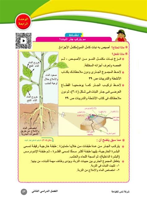 جزء من النبات ينقل الماء والمواد المغذية إلى أجزاء أخرى من النبات جزء من النبات ينقل الماء والمواد المغذية إلى أجزاء أخرى من النبات