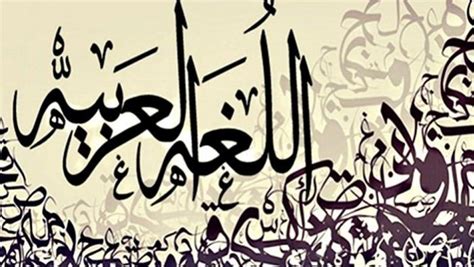 جمع أصعب 10 كلمات في اللغة العربية ومنها "القوفة" التي ذكرها مبروك عطية - الوطن.