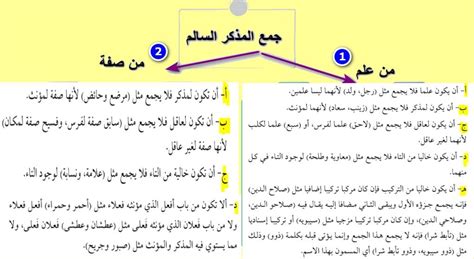جمعت كلمة جمع ذكر سالم - السعودية