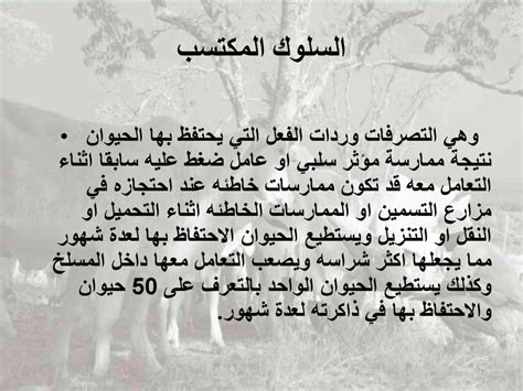 جملة صحيحة أو خاطئة الفقرة التالية غريزة السلوك المكتسب - المؤيد الناجح جملة صحيحة أو خاطئة الفقرة التالية غريزة السلوك المكتسب - المؤيد الناجح