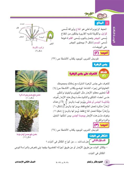 جنس النبات