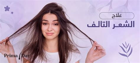 جواب السؤال: الشعر من أهم مظاهر جمال الإنسان
