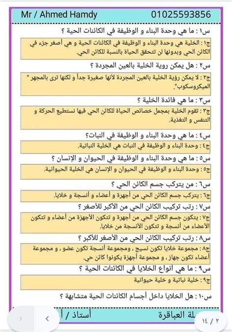 جواب سؤال احمد عنده ………… ثلاث برجر - اخبار