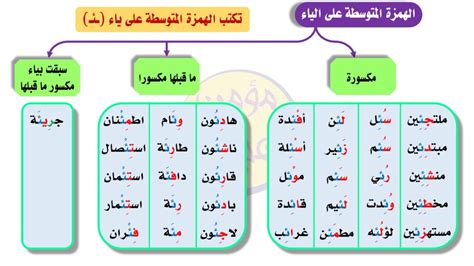 حدد الكلمات التي رسم بها الهمزة متوسطة الحجم على ألف سال، سؤال طعام المائدة - نجوم العلوم