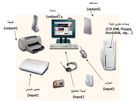 حدد جهاز الإدخال من الأجهزة التالية (نقطة واحدة) Printer Scanner - دروسي