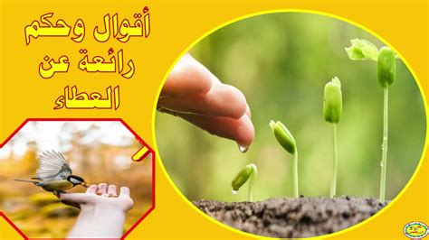 حكم العطاء