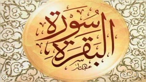 حكم قراءة سورة البقرة ديلي ابن باز - مقال