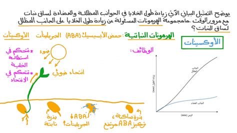 حل السؤال تسمى الهرمونات النباتية المسؤولة عن استطالة الخلايا النباتية بالهرمونات