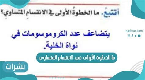 حل السؤال ما هي الخطوة الأولى في الانقسام - أبسط الحلول