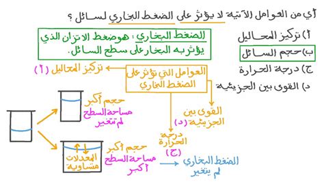 حل السؤال ما هي العوامل التي تؤثر على تقسيم أقسام الميزانية، اسم اثنين فقط - الزعيم الثقافي