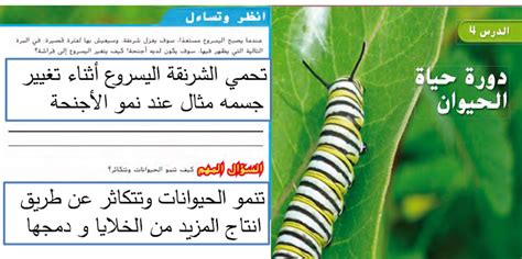 حل دورة حياة علوم الحيوان للصف الثالث - سراج