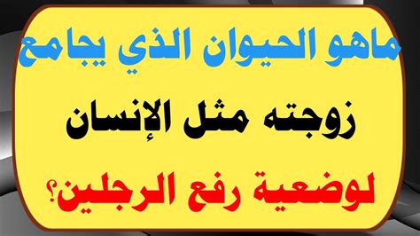 حل سؤال، أحد أعظم المهام - بيت المعرفة