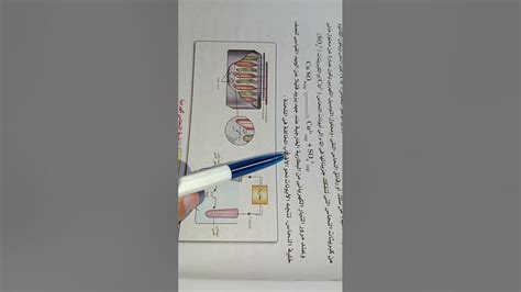حل سؤال الشهادة للمخترع فتح