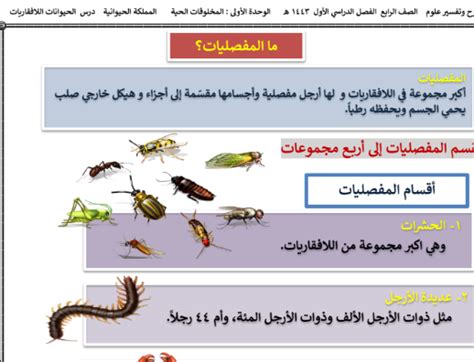 حل سؤال: المفصليات هي أكبر اللافقاريات وبيت العلم حل سؤال: المفصليات هي أكبر اللافقاريات وبيت العلم