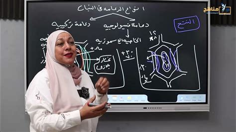 حل سؤال تمتلك صفاء مخبزًا يسمى مخبز الصفاء وقررت مؤخرًا البدء في حل المشكلة.