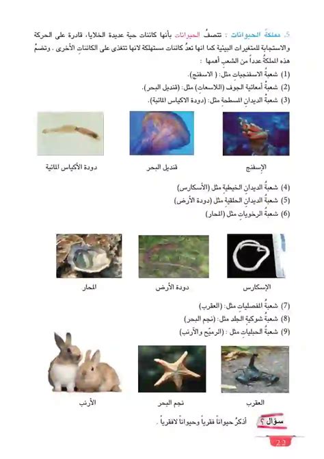 حل سؤال صنف الكائنات الحية إلى ممالك وعددها بيت العلم - حلالا حل سؤال صنف الكائنات الحية إلى ممالك وعددها بيت العلم - حلالا