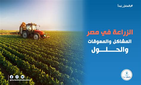حل سؤال: كيف تفسر تطور الزراعة في مصر في عهد محمد علي - وسيط الحلول