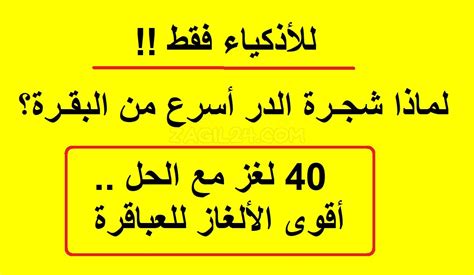 حل سؤال من أهل القلب _ الحل - رجوع الخبر