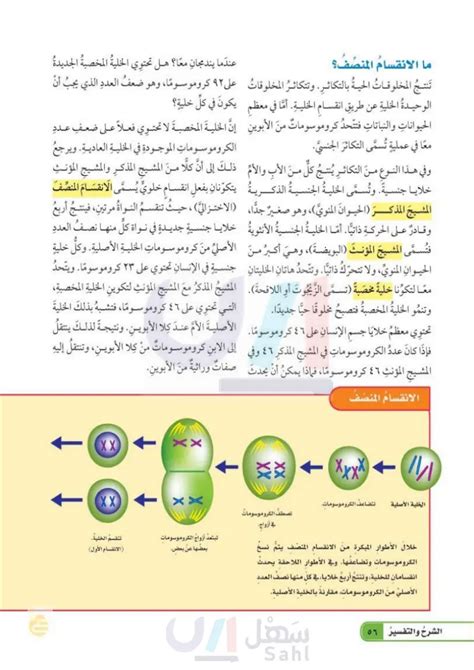 حل عدد الخلايا التي تؤدي إلى الانقسام - solubilizer حل عدد الخلايا التي تؤدي إلى الانقسام - solubilizer