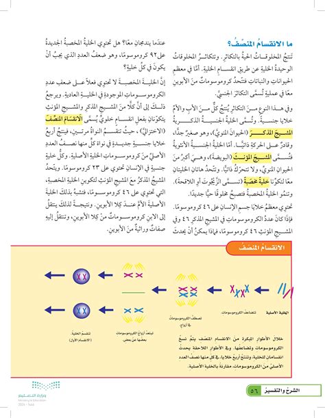 حل ما هي الخطوة الأولى في الانقسام - الشائع