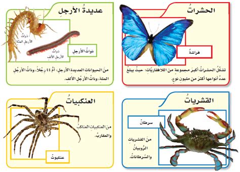 حل مسألة أكبر مجموعة من مفصليات الأرجل هي القشريات - Science Platform