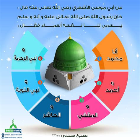 حل مسألة اسم سبط النبي صلى الله عليه وسلم - معلومات وجهات نظر