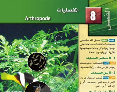 حل مسألة المفصليات من المجموعات الأكبر