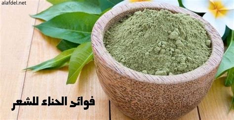 حل مسألة فوائد الحناء للرجال - موقع القلعة