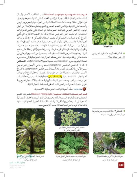 حل مسألة كل الأنواع التالية من المناطق المدارية في النباتات باستثناء - الأورجي العربي