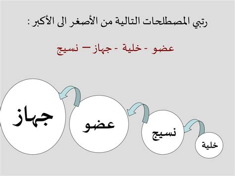 حل مسألة مجموعة الأنسجة التي يتألف منها عضو House of Science - Solver حل مسألة مجموعة الأنسجة التي يتألف منها عضو House of Science - Solver