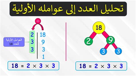 حلل الرقم 45 إلى عوامله الأولية باستخدام الأس - اتجاهات 2024