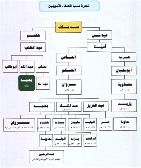 خلفاء بني أمية في الصفوف