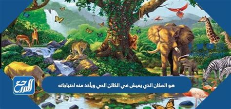 خلية الحل هي الجزء الأكبر من الكائن الحي الذي لا يستطيع البقاء - ميسر الحل خلية الحل هي الجزء الأكبر من الكائن الحي الذي لا يستطيع البقاء - ميسر الحل