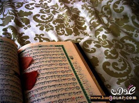 خمسون كلمة في القرآن يساء فهم معناها إلى معنى مشترك - طريق الإسلام