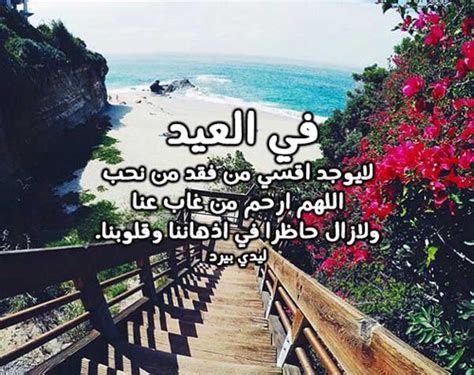دعاء الفقيد بمناسبة العيد - ليدي بيرد دعاء الفقيد بمناسبة العيد - ليدي بيرد