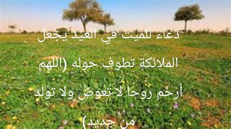 دعاء للميت في العيد .. الله يرحم روحا لا تعوض ولا تولد من جديد - الوطن دعاء للميت في العيد .. الله يرحم روحا لا تعوض ولا تولد من جديد - الوطن