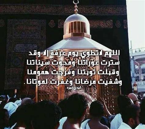 دعاء يوم عرفة للاصدقاء - ليدي بيرد