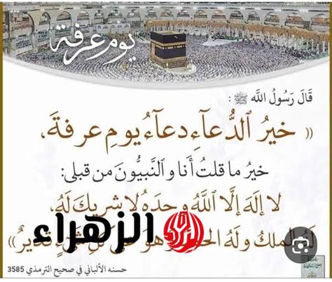 دعاء يوم عرفة مكتوب.. اغتنم نفحات أسباب الإجابة واعرف ما قاله الشعراوي - الوطن