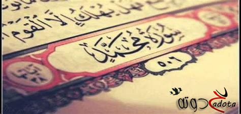 رؤية أهل القرآن في المنام - موقع حدوتة