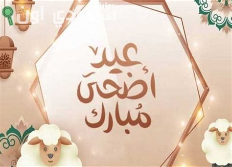 رئاسة الوزراء تعلن إجازة عيد الأضحى 2024 رسمياً - دار الخبر